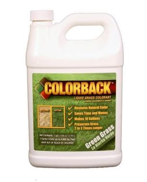 1 Gallon Grass Colorant
