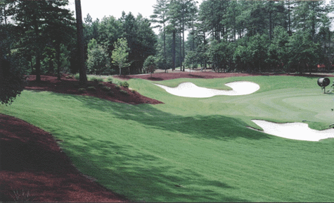 Golf Course